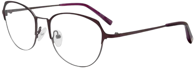 Sunglasses J 150 Purple 0pur